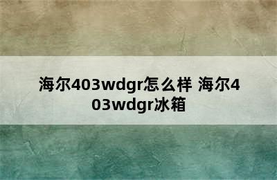 海尔403wdgr怎么样 海尔403wdgr冰箱